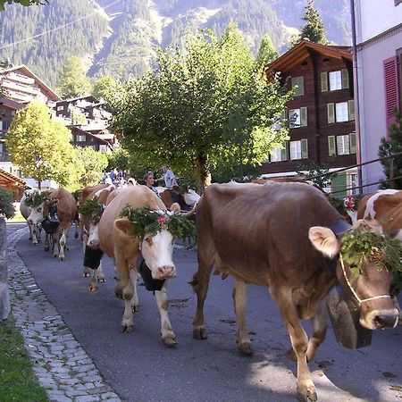 Chalet Acheregg Wengen Kültér fotó